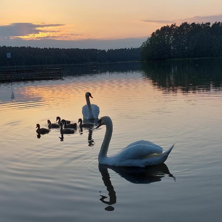 Domek Letniskowy U Marcina I Ani Borsk Luaran gambar